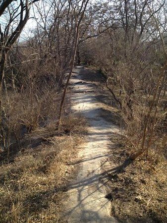 City Site of Yuan Dynasty